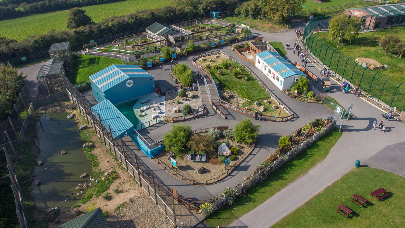 folly farm penguin coast from above