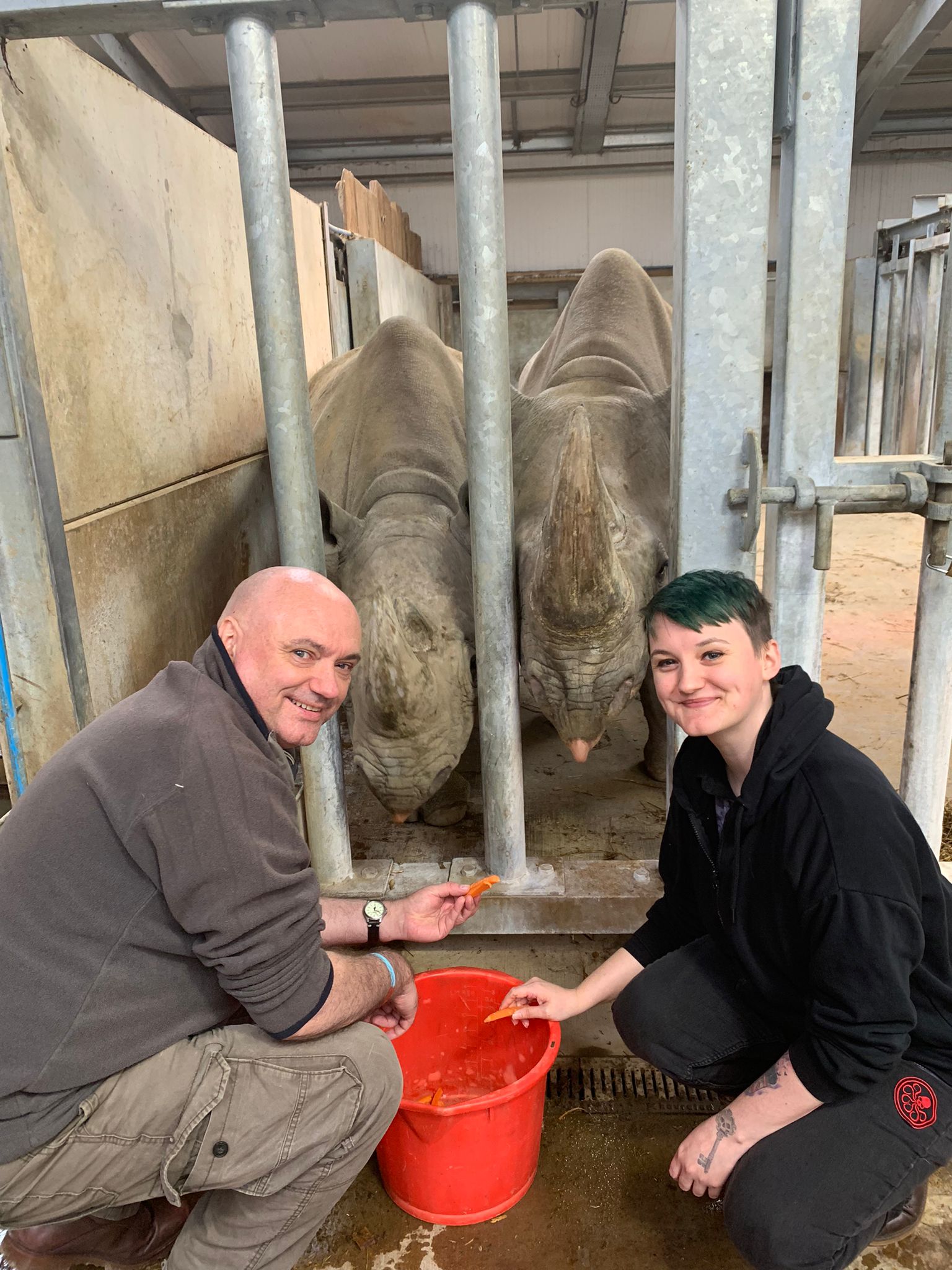 Rhino Experience Day UK • Rhino Encounter