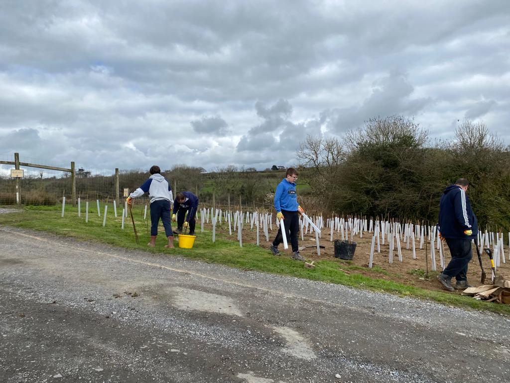 Volunteers help with tree planting efforts • Folly Farm