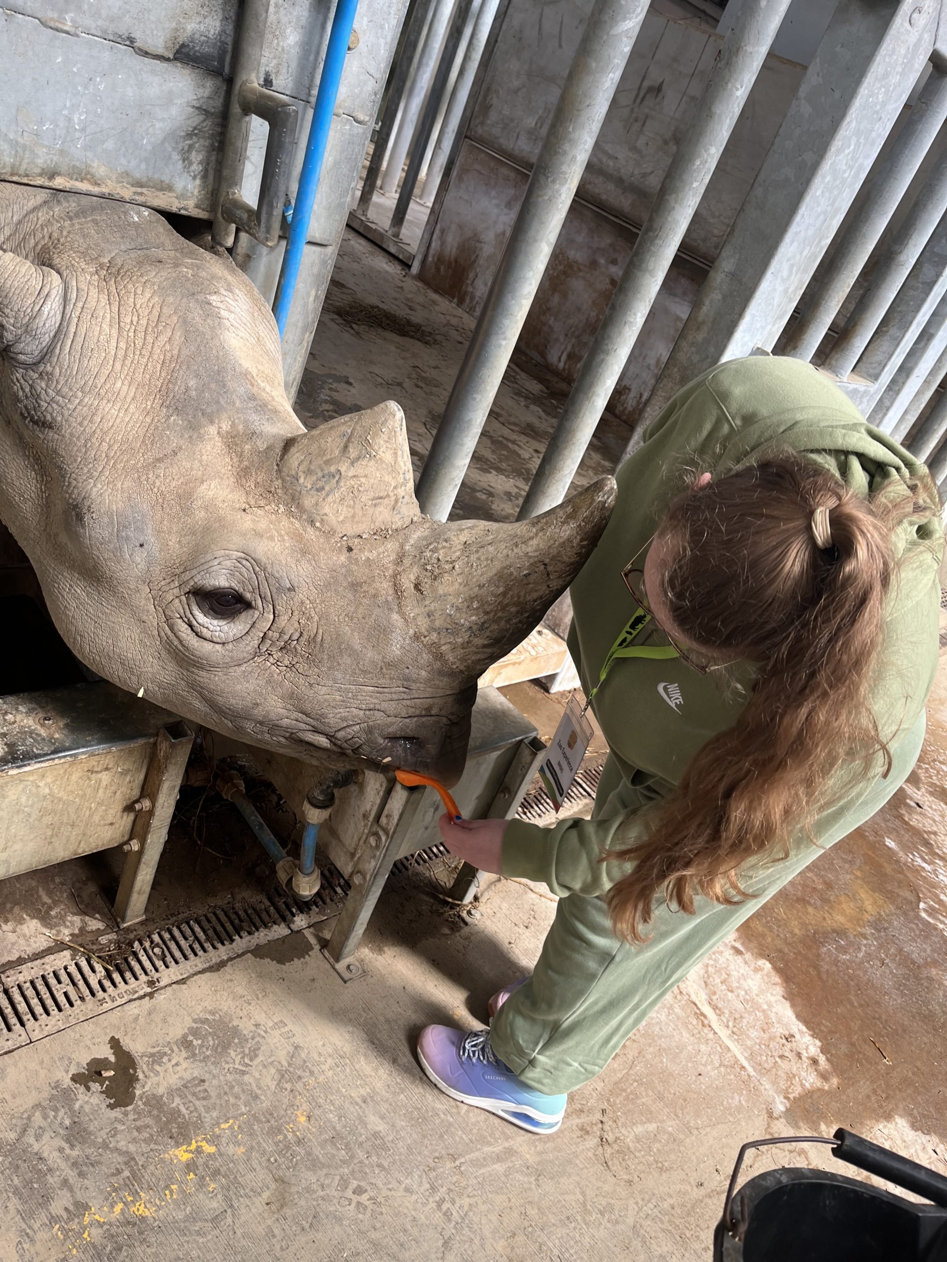 Rhino Experience Day UK • Rhino Encounter