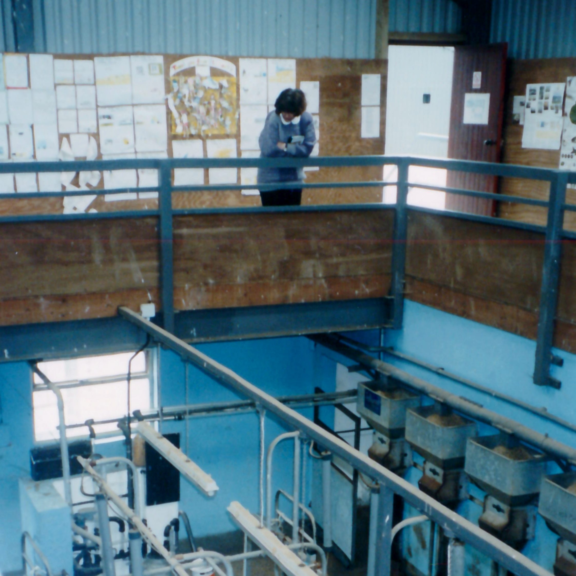 Folly Farm's original dairy parlour with viewing gallery