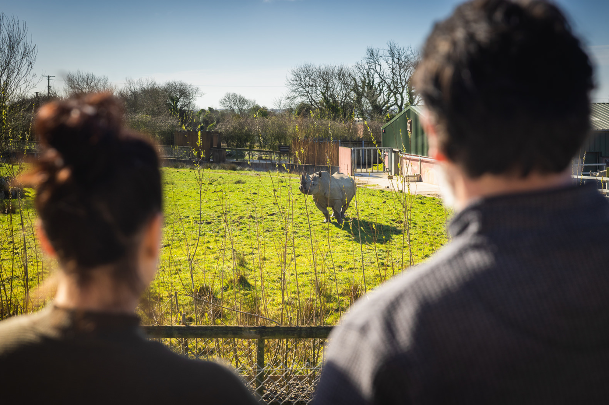 Couple watching black rhino from lodge balcony at Folly Farm